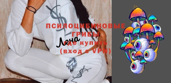 спиды Арсеньев