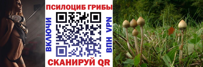 как найти закладки Уржум Псилоцибиновые грибы Magic Shrooms